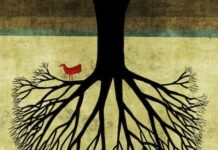 Metaphor and embodiment in Education