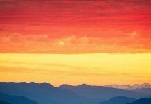 Avoid deepening educational and social inequalities