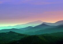 Art Education Development